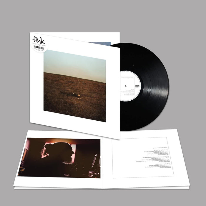 Fink The City Is Coming To Erase It All Viny LP Due Out 05/06/26