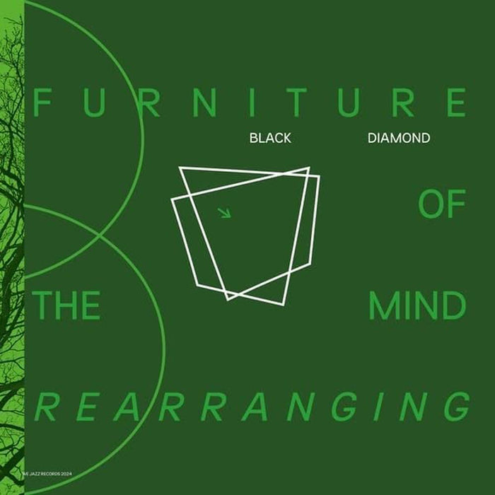 Black Diamond Furniture Of The Mind Rearranging Vinyl LP 2024