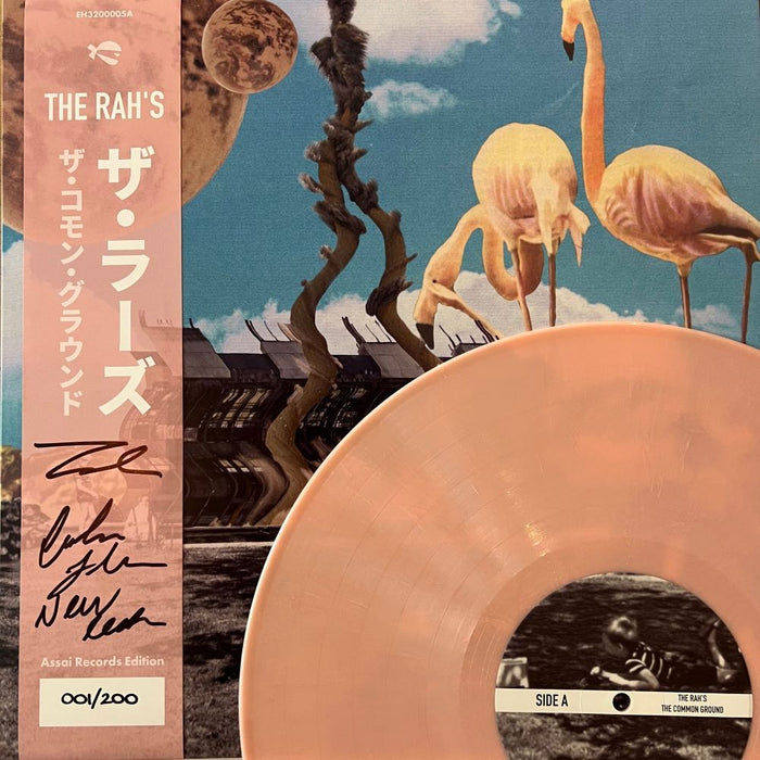 The Rah's The Common Ground Vinyl LP Signed Assai Obi Edition Pink Colour 2024