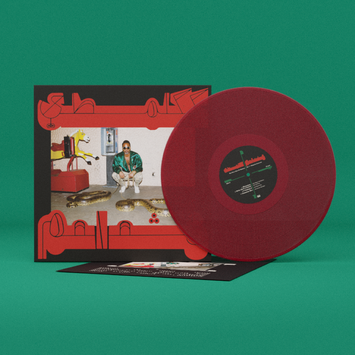 Shabazz Palaces Robed in Rareness Vinyl LP Red Colour 2024