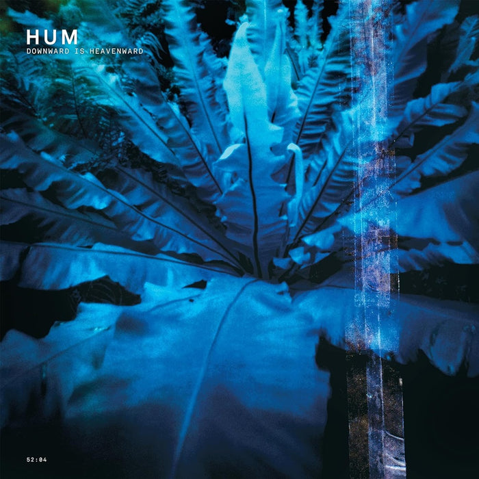 Hum Downwards Is Heavenward Vinyl LP 2023