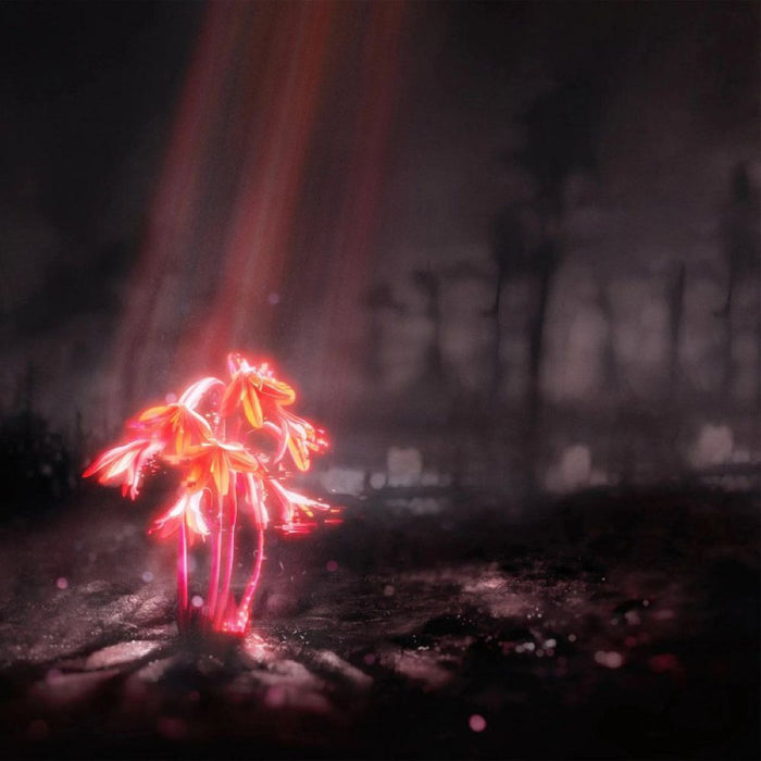 Enter Shikari A Kiss For The Whole World Vinyl LP Orange Sunset Colour 2025