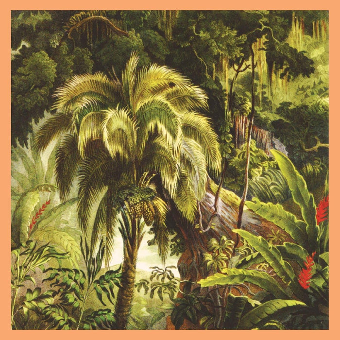 Xiu Xiu La Foret Vinyl LP Due Out 25/09/26