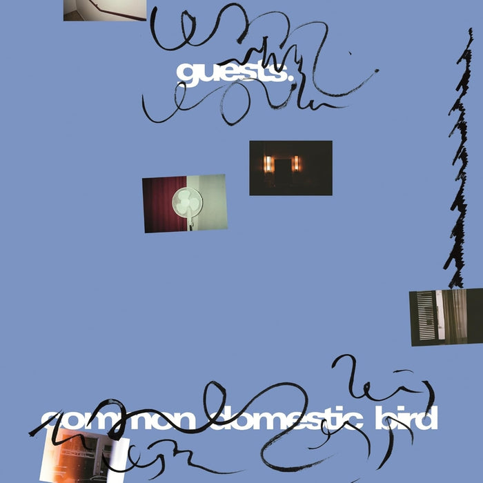 Guests Common Domestic Bird Vinyl LP 2026
