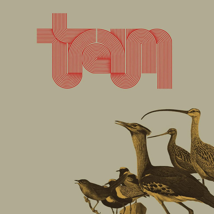 Traum Traum Vinyl LP Due Out 17/07/26