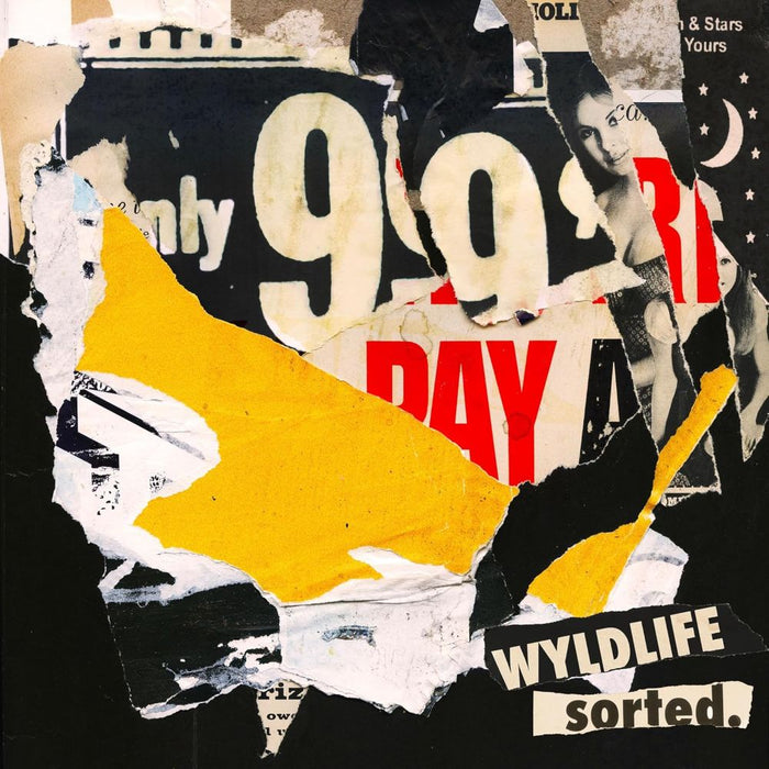 Wyldlife sorted. Vinyl LP 2025