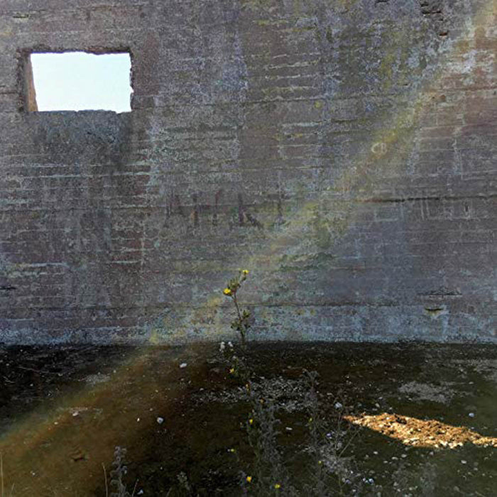 Desperate Journalist In Search of the Miraculous Vinyl LP 2019