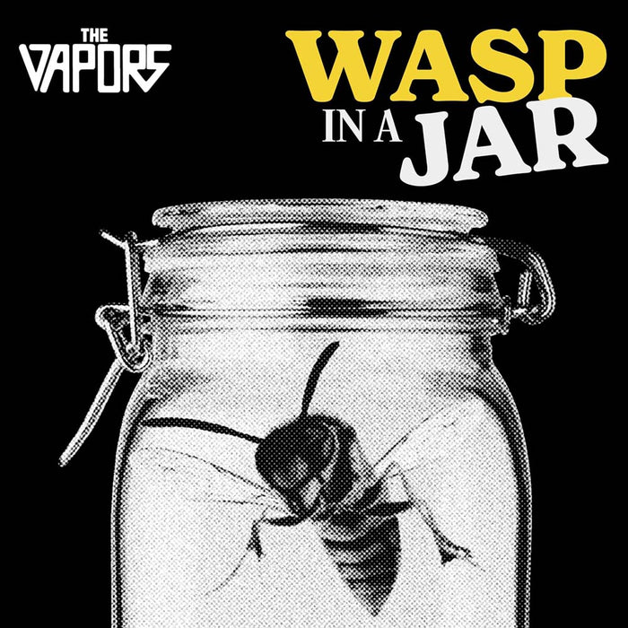 The Vapors Wasp In A Jar Vinyl LP 2025