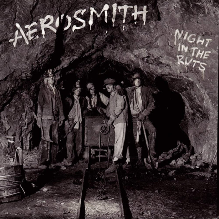 Aerosmith Night In The Ruts Vinyl LP 2023