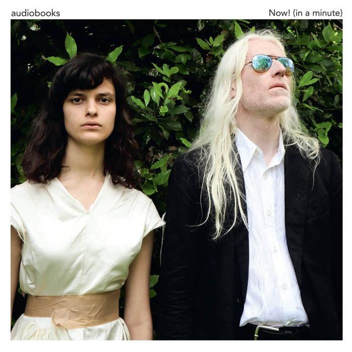 Audiobooks Now! (in a minute) Vinyl LP 2018