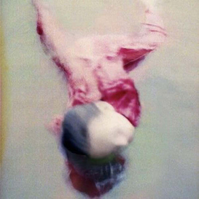 Chihei Hatakeyama Lucid Dreams Vinyl LP 2025