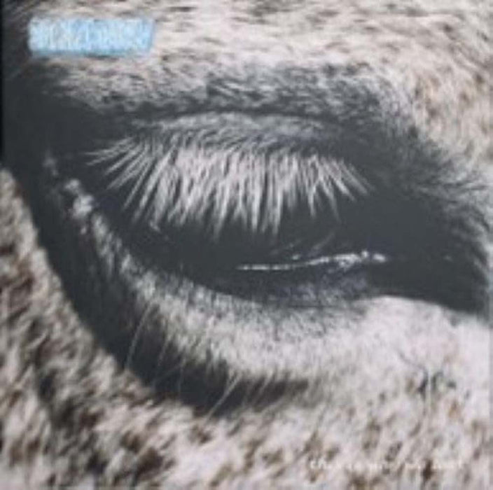 Smag Pa Dig Selv This Is Why We Lost Vinyl LP Due Out 06/03/26