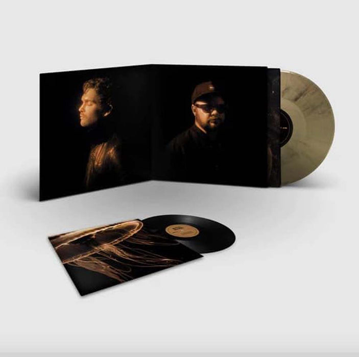 Royal Blood Back To The Water Below Vinyl LP Deluxe Black & Gold Marble Colour 2023