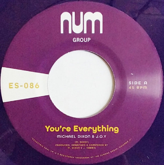 Michael A. Dixon & J.O.Y. You're Everything 7" Vinyl Single Purple Colour 2023