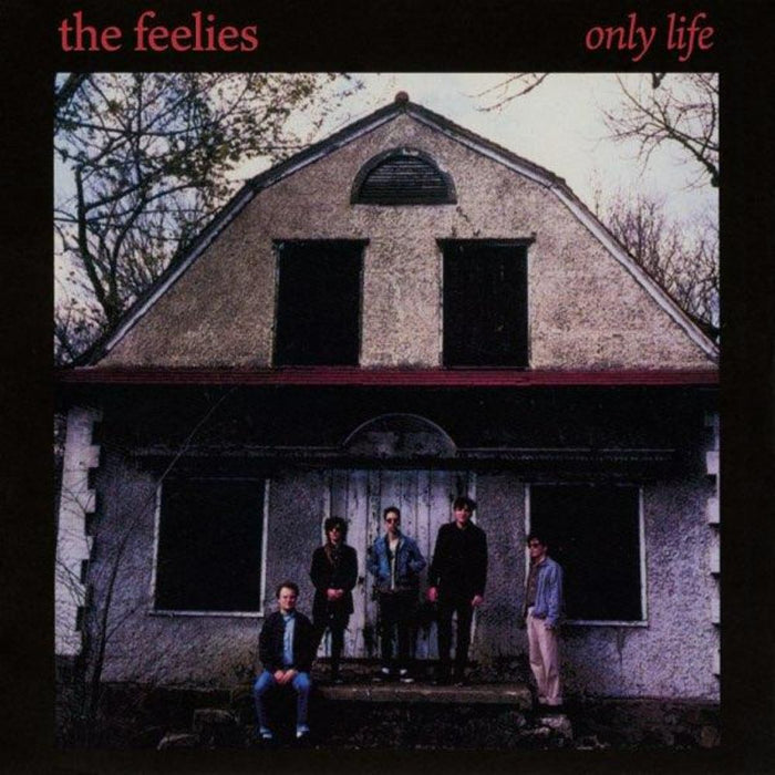 The Feelies Only Life Vinyl LP Red Colour Due Out 28/03/25