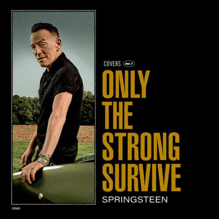 Bruce Springsteen Only the Strong Survive Vinyl LP 2022