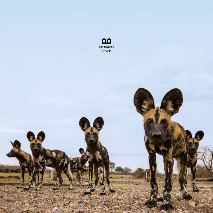 Balthazar Fever Vinyl LP 2019
