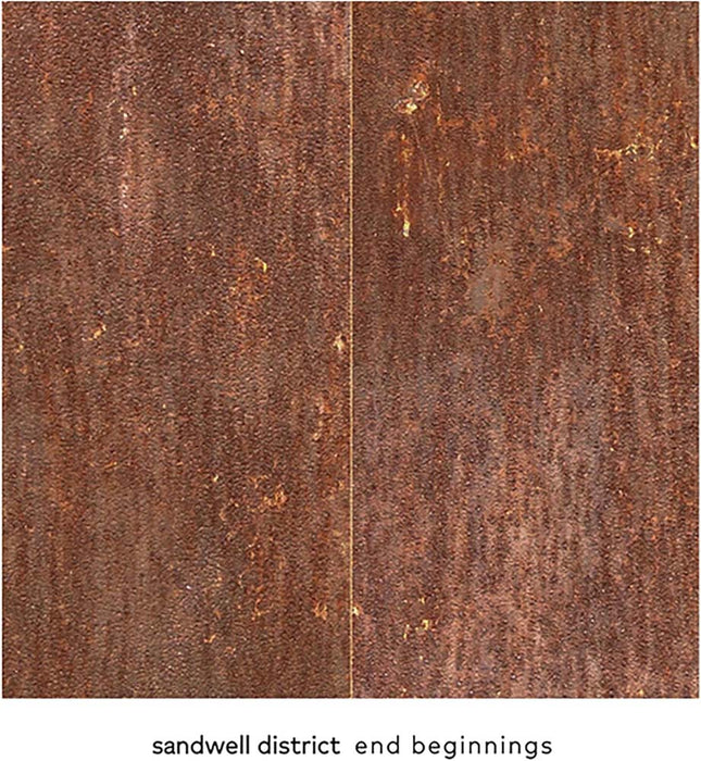 Sandwell District End Beginnings Vinyl LP 2025