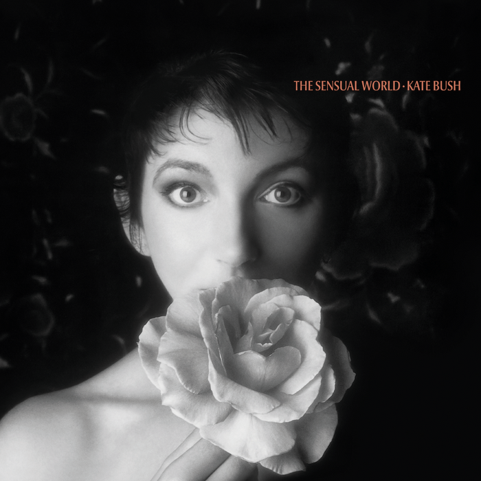 Kate Bush The Sensual World (2018 Remaster) Vinyl LP 2023