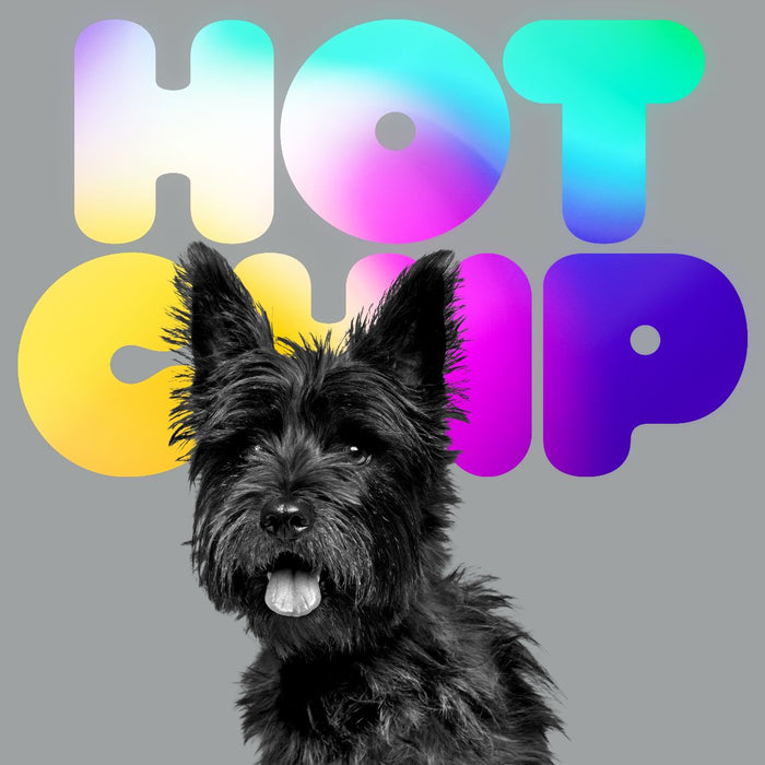 Hot Chip A Long Way From Kansas Vinyl LP Due Out 08/01/27