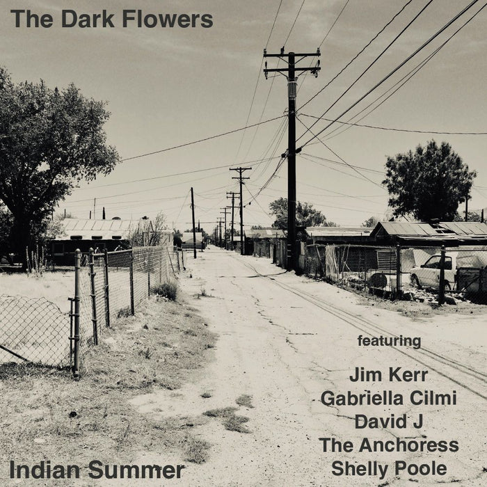 The Dark Flowers Indian Summer Vinyl LP 2025
