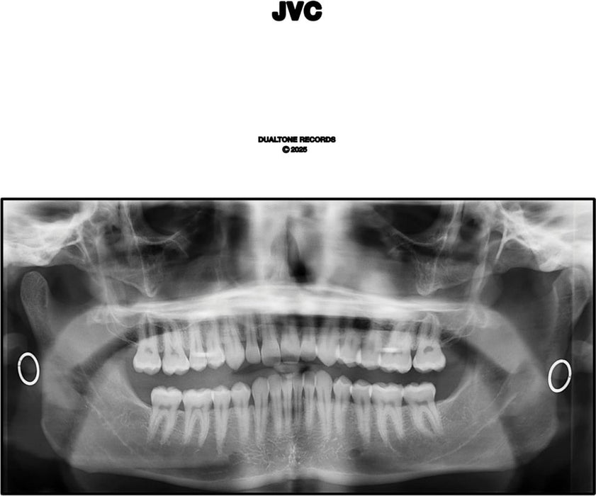 Jack Van Cleaf JVC Vinyl LP 2025