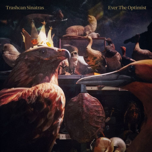 Trashcan Sinatras Ever The Optimist Vinyl