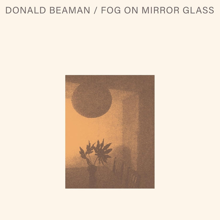 Donald Beaman Fog On Mirror Glass Vinyl LP 2026