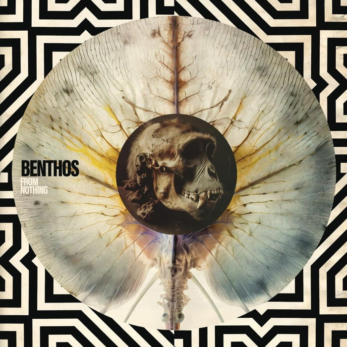 Benthos From Nothing Vinyl LP 2025
