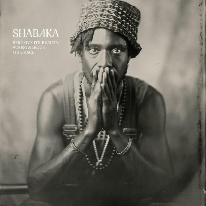 Shabaka Perceive its Beauty, Acknowledge its Grace Vinyl LP 2024