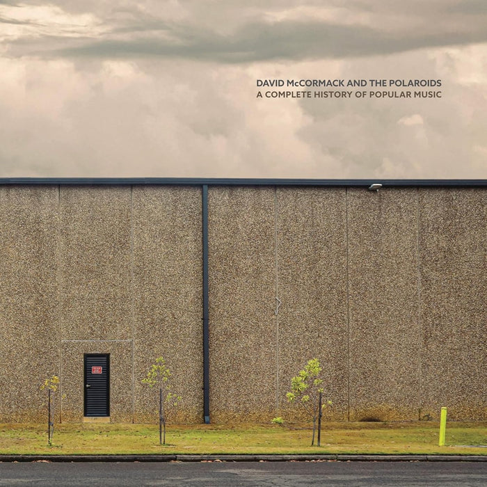 David McCormack and The Polaroids A Complete History of Popular Music Vinyl LP Red Recycled Colour 2025