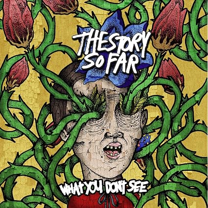 The Story So Far What You Don't See Vinyl LP Due Out 25/09/26