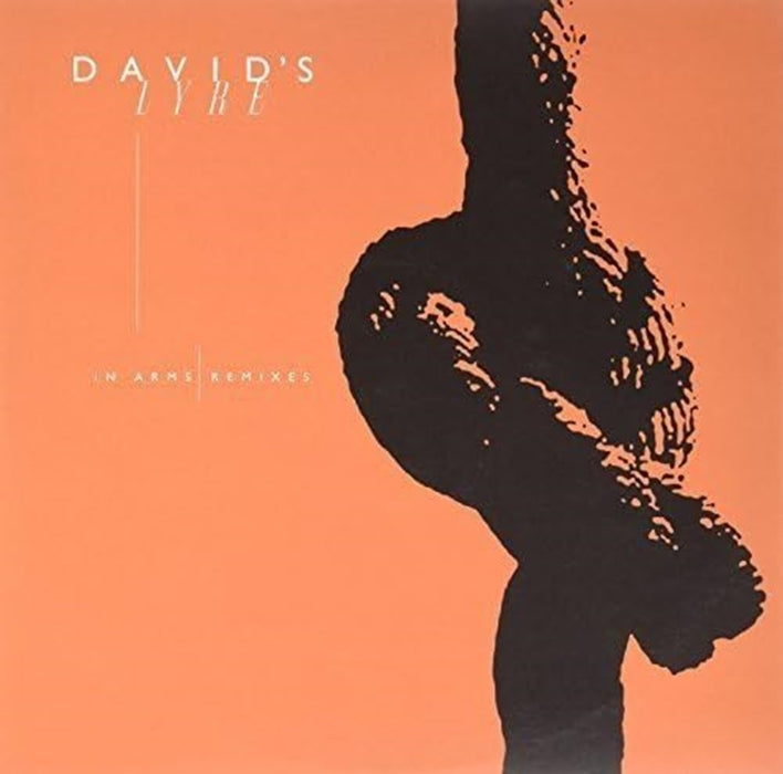 David's Lyre In Arms 12" Vinyl Single 2011