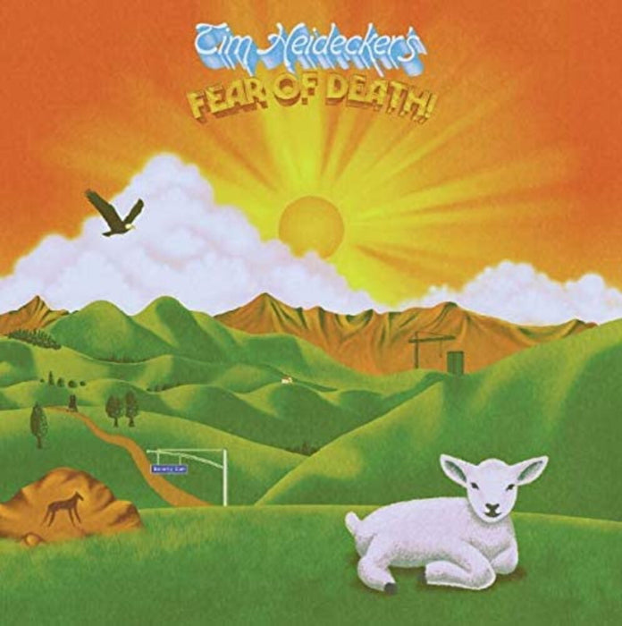 Tim Heidecker - Fear Of Death Vinyl LP 2020