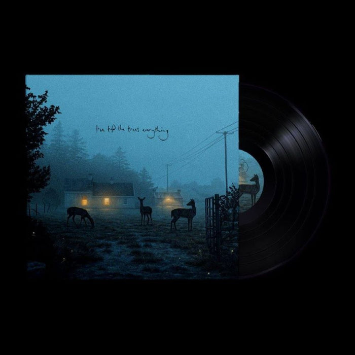 Dermot Kennedy I’ve told the trees everything Vinyl EP 2024