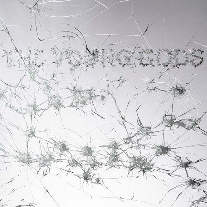 The Young Gods Appear Disappear Vinyl LP Northern Light Colour 2025