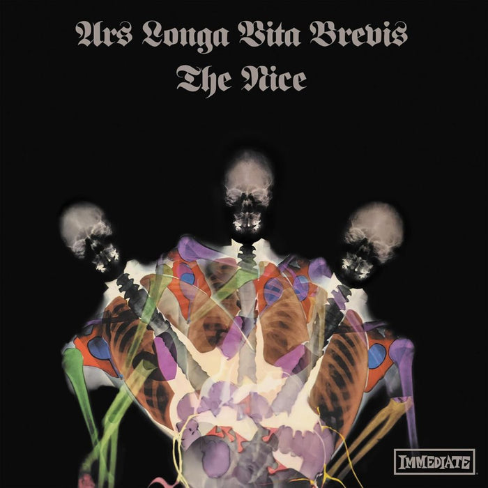 Nice Ars Longa Vita Brevis Vinyl LP X-Ray Marbled Colour