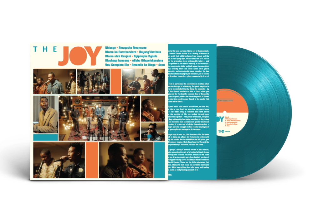 The Joy The Joy (Self Titled) Vinyl LP 2024