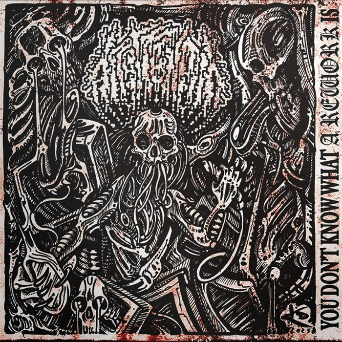 arottenbit You Don't Know What A Rework is Vinyl LP 2025