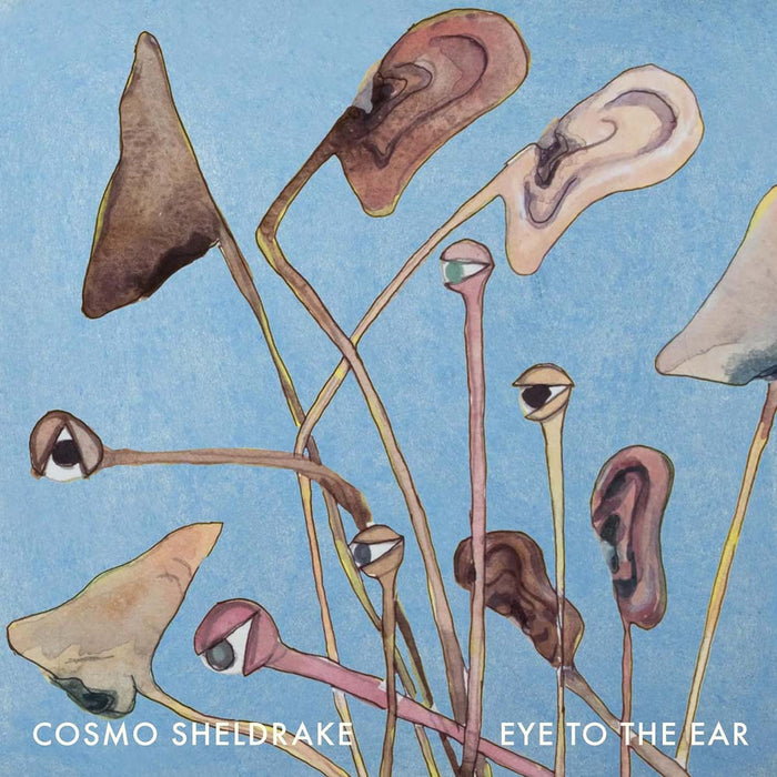 Cosmo Sheldrake Eye To The Ear Vinyl LP 2024