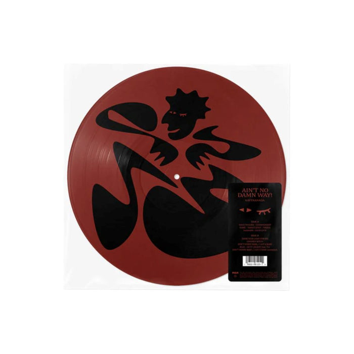 KAYTRANADA AINT NO DAMN WAY Vinyl LP Picture Disc 2026