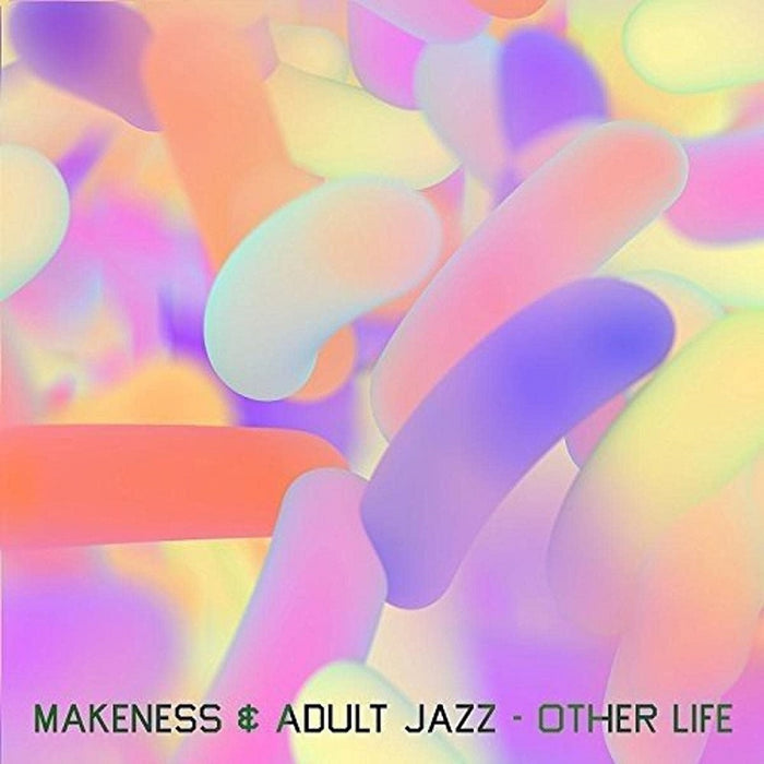 Makeness & Adult Jazz Other Life 12" Vinyl Single 2016