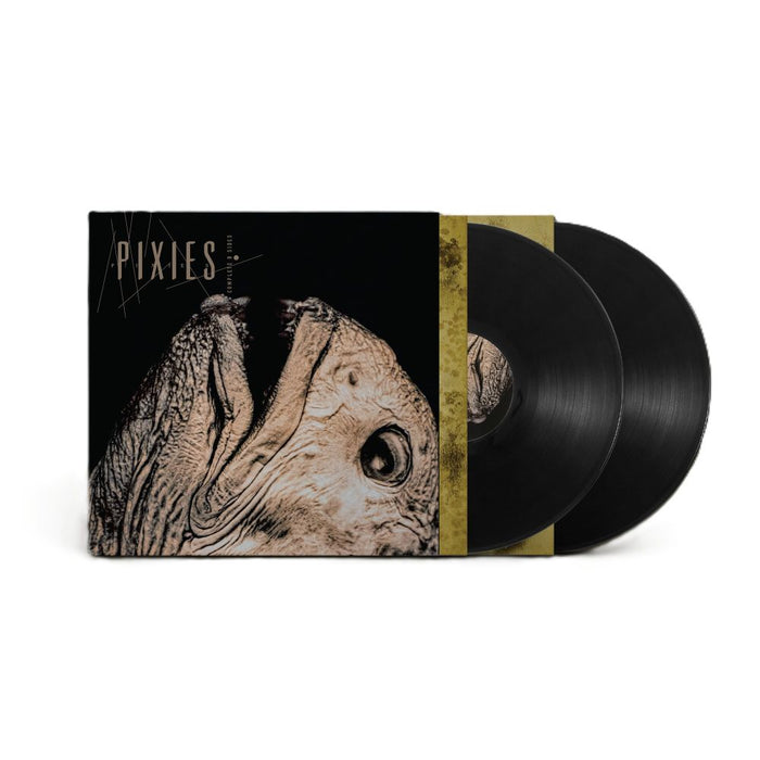 Pixies Complete B Sides: 1988-97 (Remastered) Vinyl LP Due Out 26/06/26