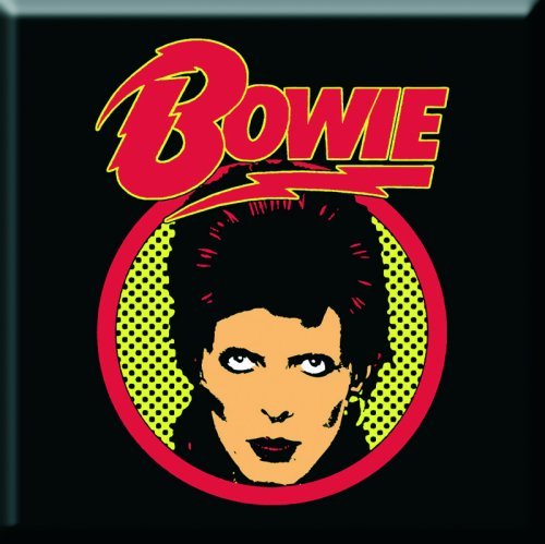 Davd Bowie Magnet Flash Logo