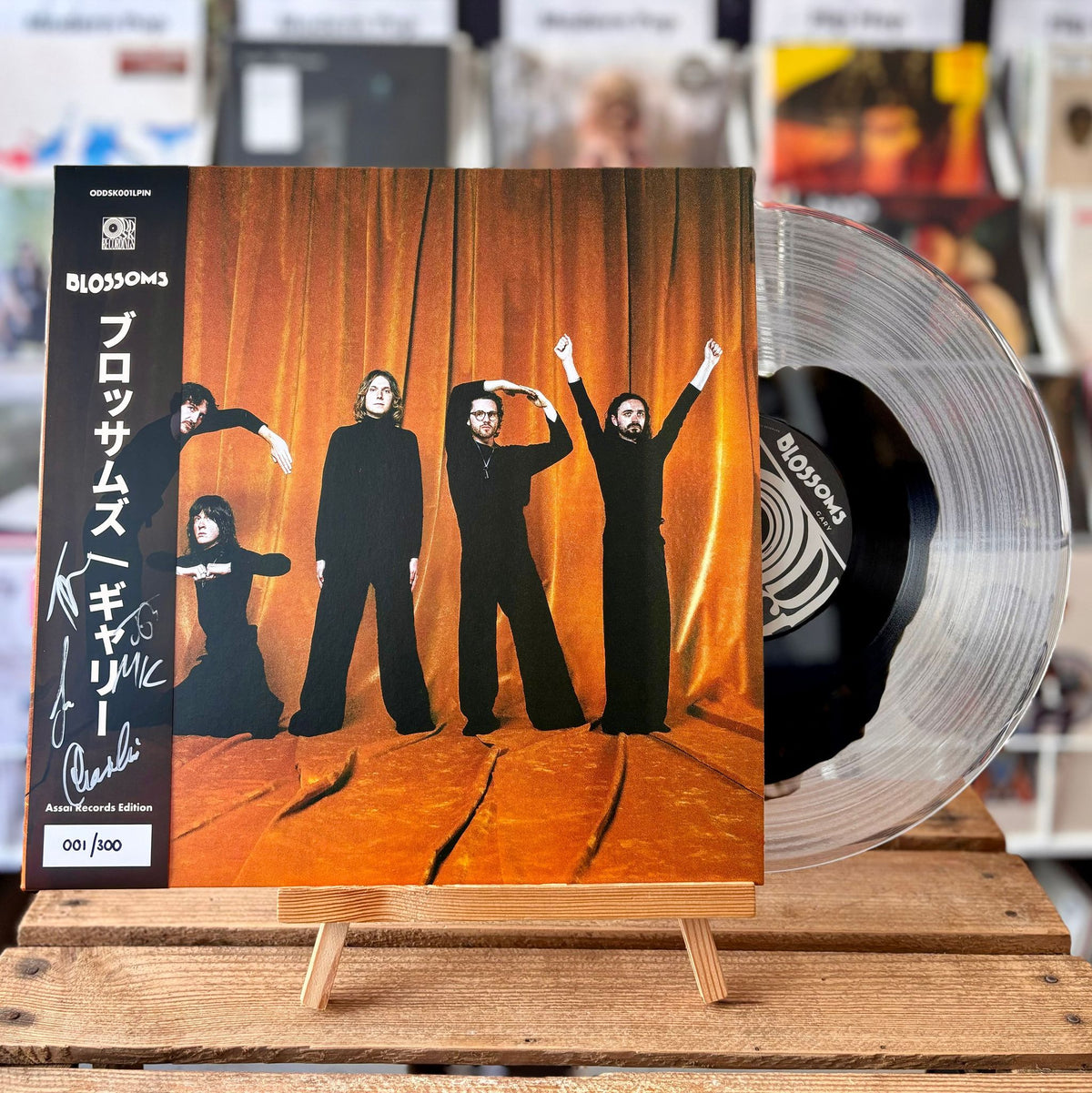 Blossoms Gary Vinyl LP Signed Assai Obi Edition Transparent with Black — Assai  Records