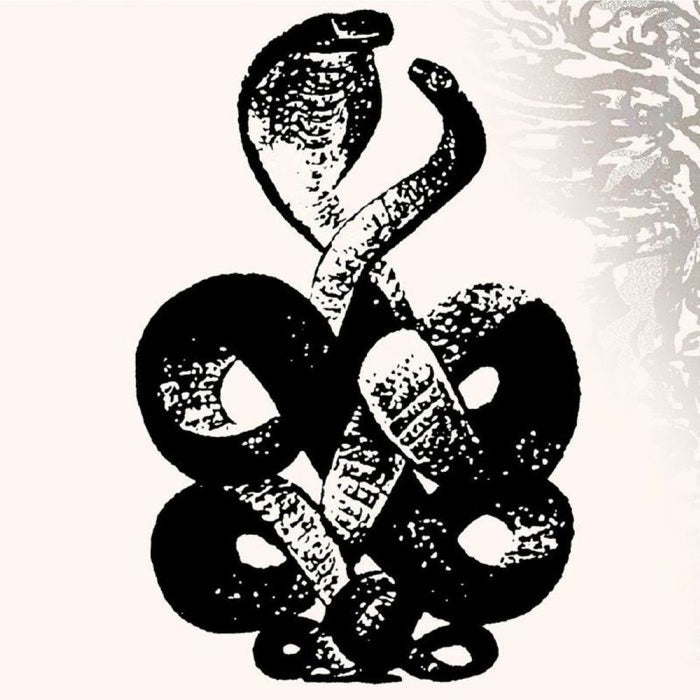 Bardo Pond Volume 4 & 5 Vinyl LP 2025