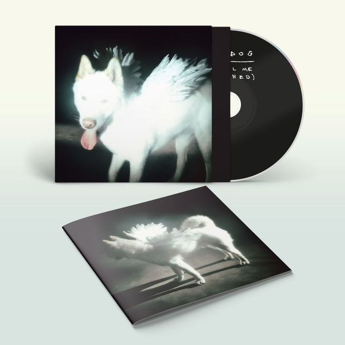Fat Dog Cancel Me (I'm Tired) CD Due Out 02/10/26
