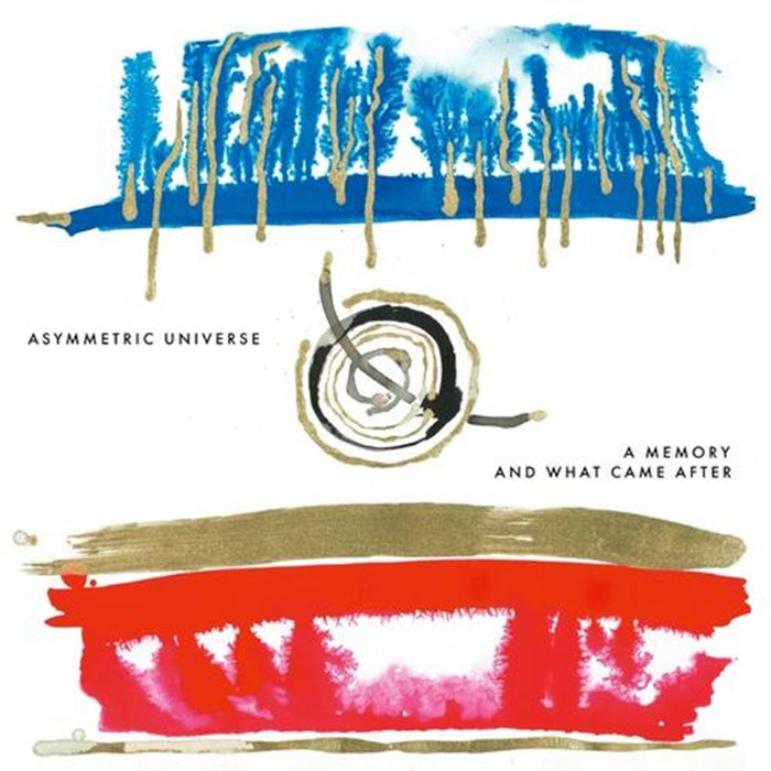 Asymmetric Universe A Memory And What Came After Vinyl LP 2025