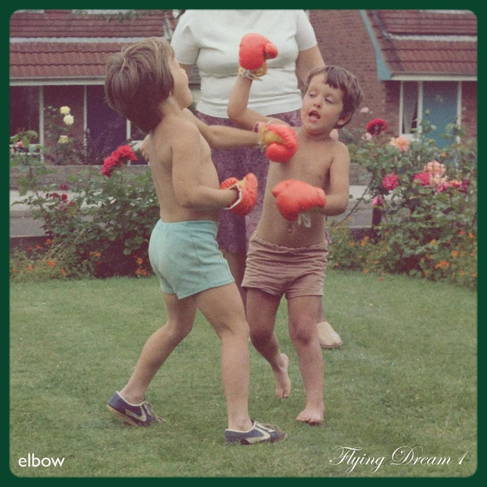 Elbow Flying Dream Vinyl LP 2021