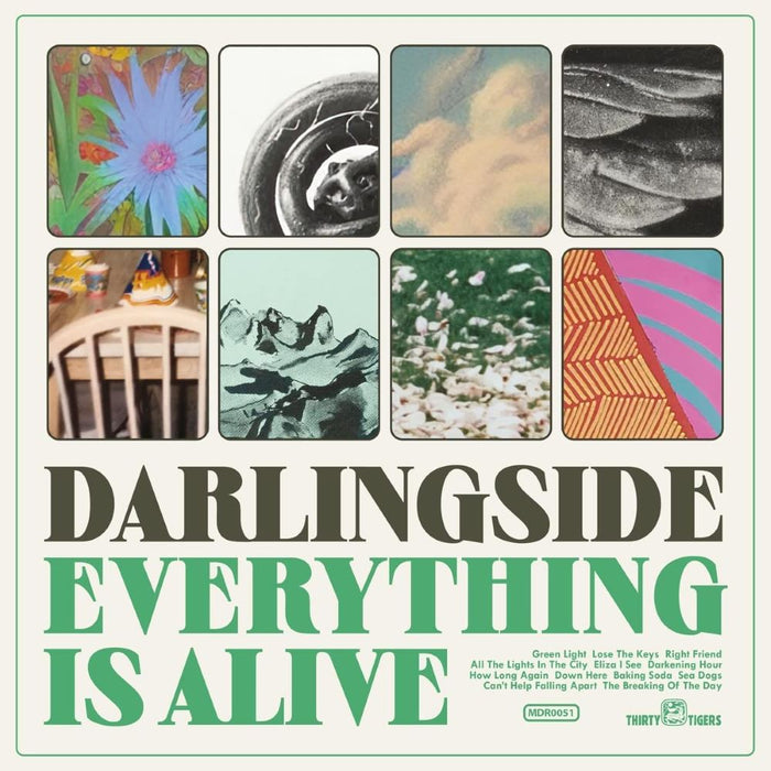 Darlingside Everything Is Alive Vinyl LP 2023